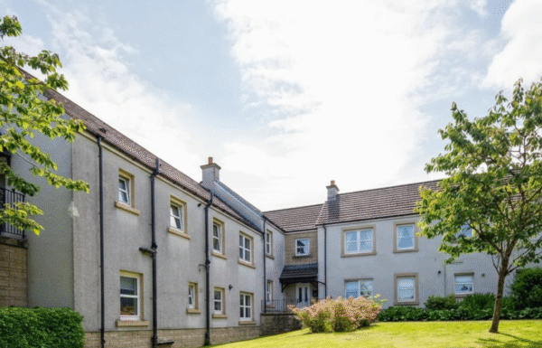 Gemini_Generated_Image_v8nqdqv8nqdqv8nq